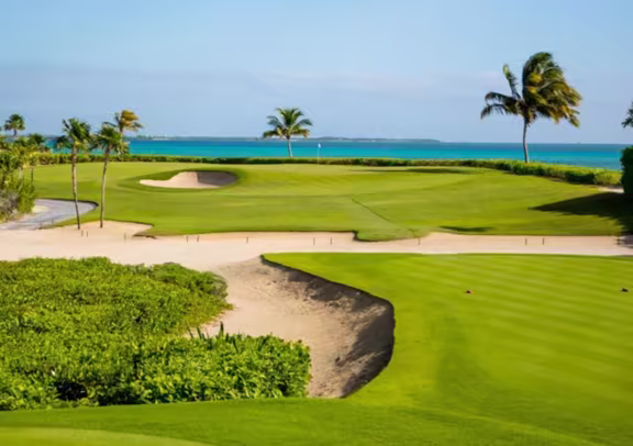 Image Golf El Camaleon